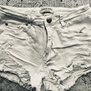 Eighty-eight premium shorts